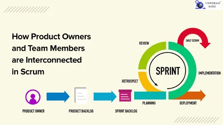 How Product Owners and Team Members are Interconnected in Scrum